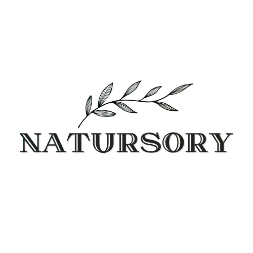 Mi tienda